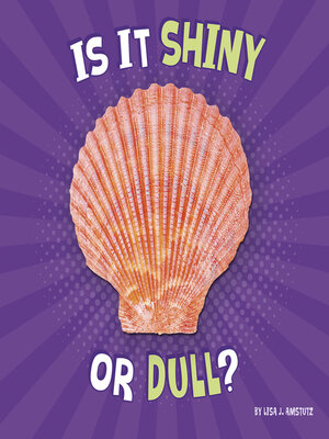 cover image of Is It Shiny or Dull?